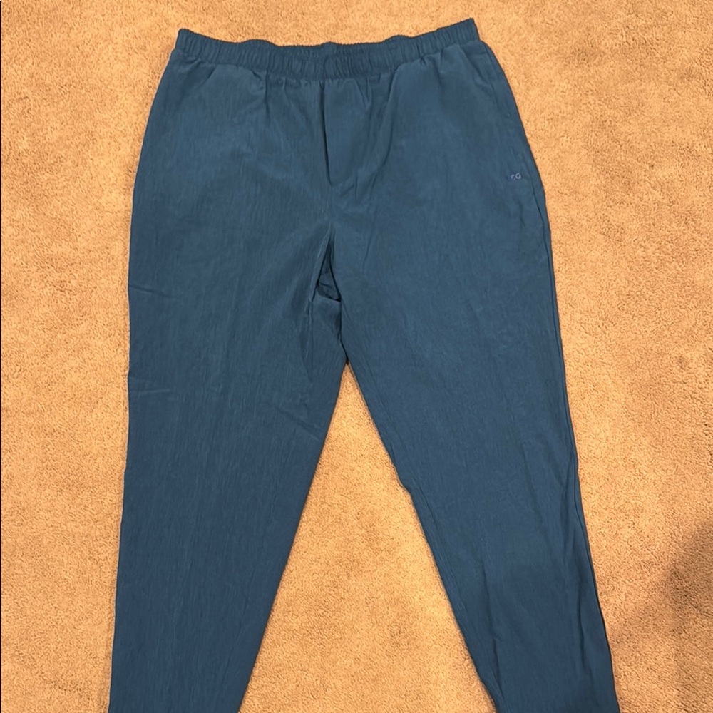 Men's NEW DSG Agility Blue jogger pants